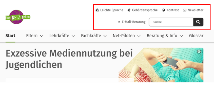 Foto der Internet-Seite. Roter Rahmen zeigt die Felder.